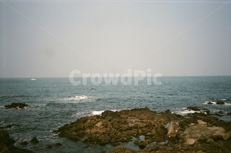 제주바다,이호테우해변,필름카메라,제주도,파도,바다,제주,이호테우,필름,자연,풍경,nature,landscape,해변,바다,beach,sea,promontory,곶,ocean,대양,water,물,outdoors,옥외