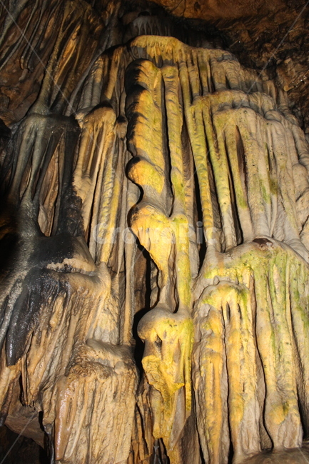 종유석,온달동굴,석회암동굴,한국의동굴,석주,자연,풍경,nature,landscape,cave,동굴
