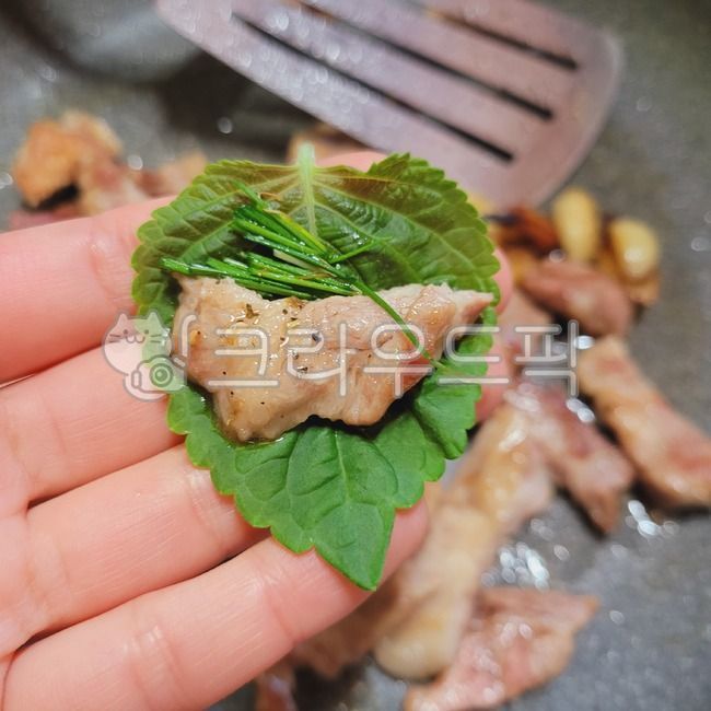 쌈,쌈채소,깻잎,깻잎쌈,삼겹살,고기,고기쌈,육식,식사,meal,food,음식