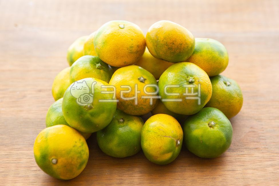 귤,청귤,제주특산물,제주도,제주도특산물,햇귤,감귤,초록귤,과일,감금류,식물,감귤류과일,음식,citrus,citrusfruit,food,fruit,plant