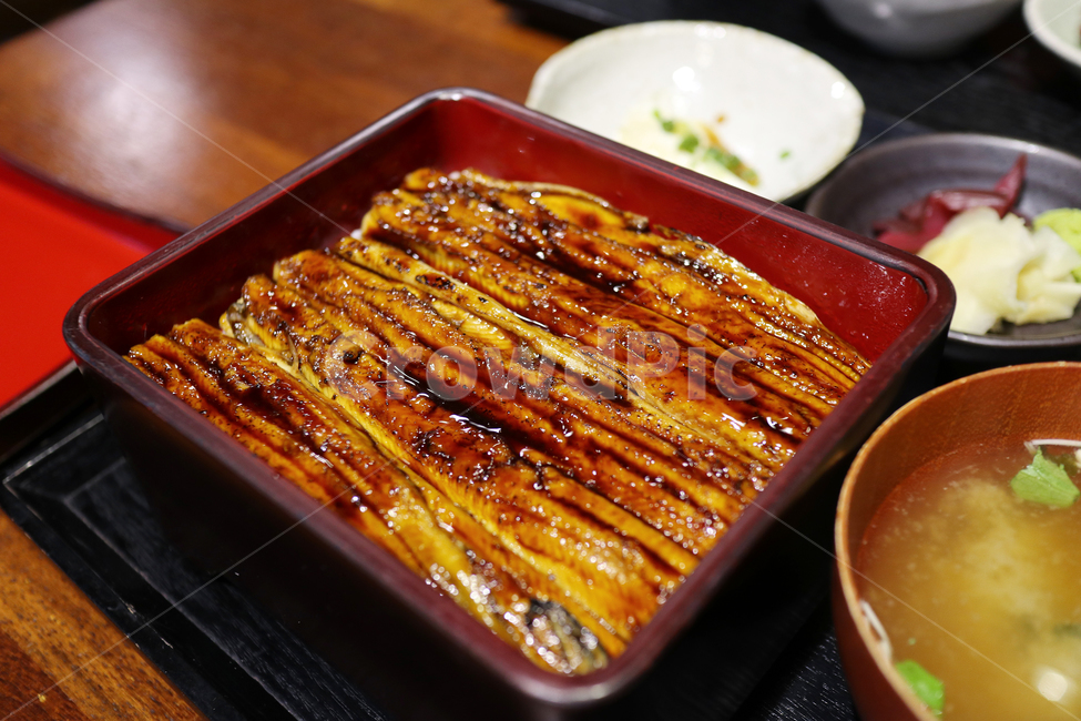 rice bowl,Anagodong,Eel rice bowl,Unagidong,food