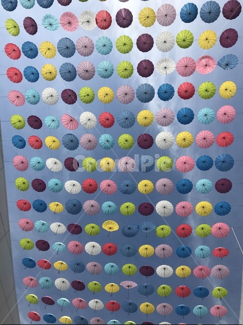 우산,하늘,umblella,우산장식,sky,우산데코레이션