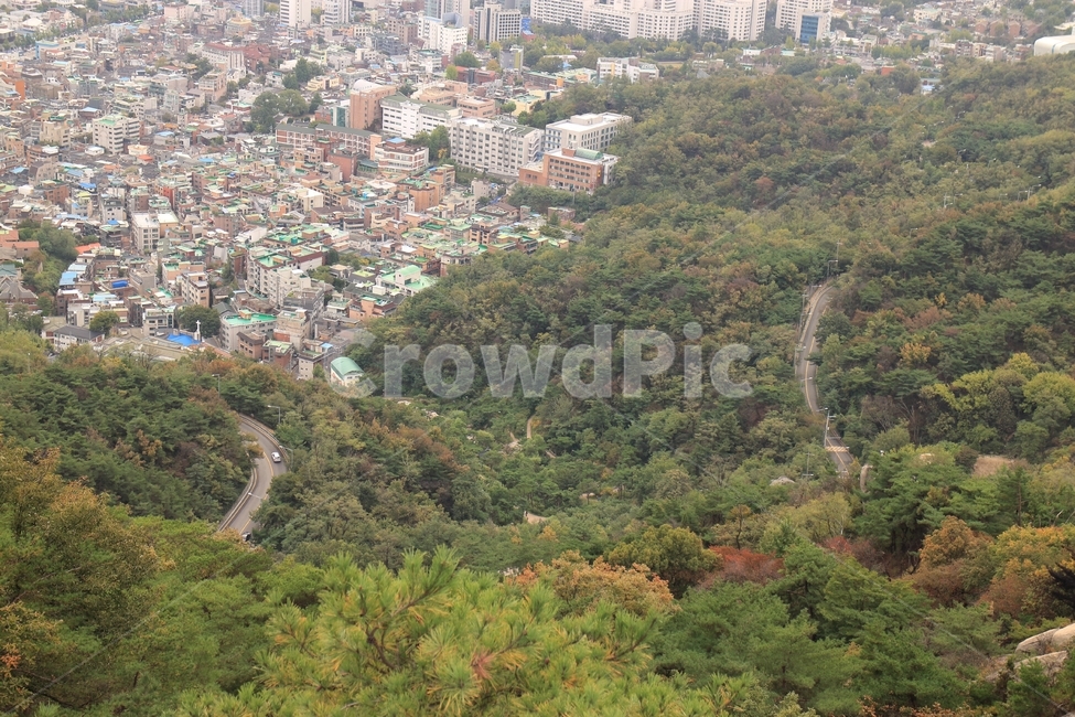 산,도로,효자동,숲,나무,산길,주택,도시풍경,풍경,차도,도심,인왕산,자연,nature,tree,도시,풍경,city,landscape,한국도시풍경,한국도시경관,korea cityscape,경치,outdoors,옥외,scenery,aerial view,조감도