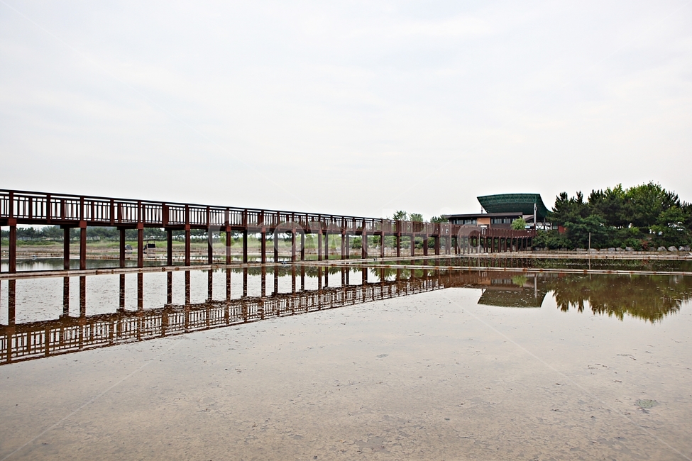 sea water,saltern,nature,salt field,sight,Sorae Ecological Park