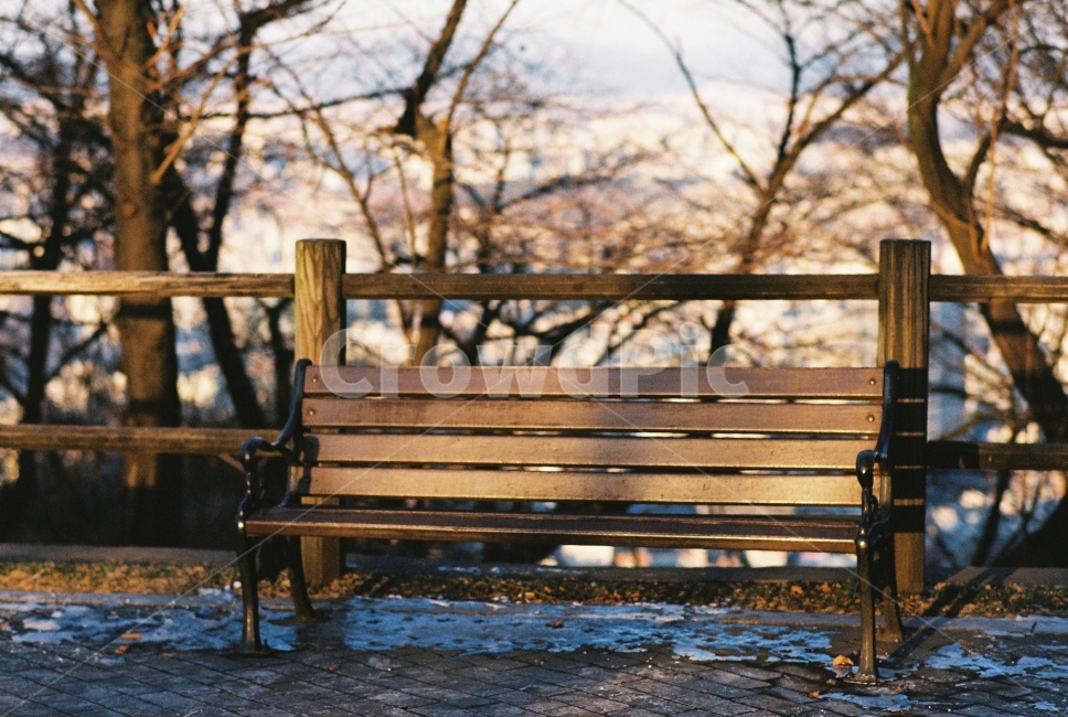 의자,공원,공원의자,겨울,눈,황량함,필름,필름사진,겨울,계절,winter,season,감성,sensible,feeling
