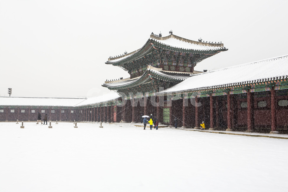 경복궁,한국의미,문화유적,설경,전통,건축,겨울,계절,winter,season,한국전통,한국문화,korean traditional,korean culture,랜드마크,landmark,tourist attraction,한국랜드마크,한국관광지,한국명소,korea landmark,korea tourist attraction
