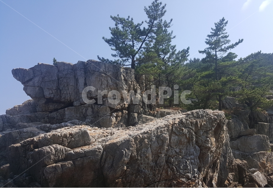 나무,바위,풍경,자연,nature,자연,풍경,nature,landscape,outdoors,옥외,cliff,낭떠러지