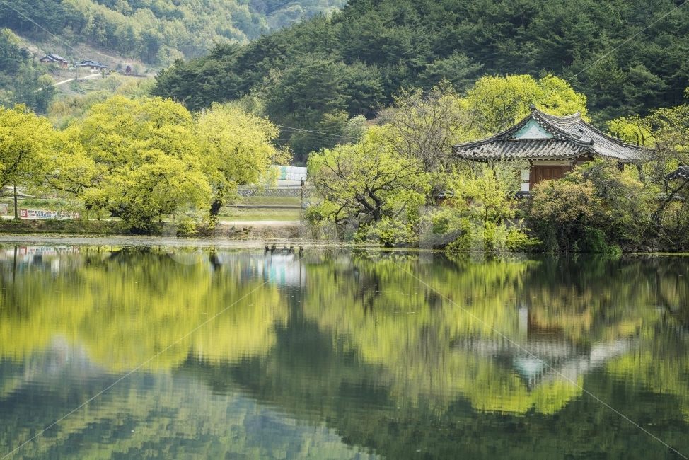 울산,창녕,위양지,한국,저수지,환경,호수,나무,구름,산,풍경,안식처,여행,소니,a99ii,자연,풍경,nature,landscape,한국자연풍경,한국자연경관,korea nature landscape,outdoors,옥외,water,물