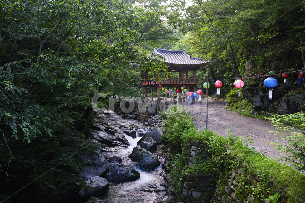 강선루,선암사,사찰,건축,전통건축,traditional,전통,기와지붕,풍경,연등,식물,plant,자연,nature,숲,계곡,자연,풍경,nature,landscape,한국자연풍경,한국자연경관,korea nature landscape,outdoors,옥외,water,물