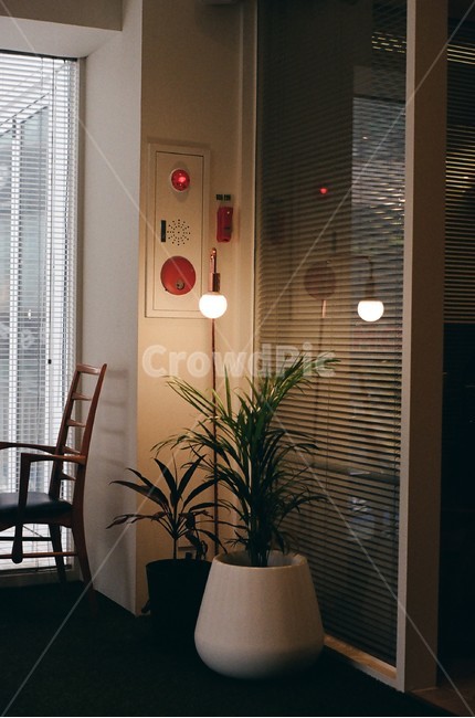 필름,화분,나무,조명,식물,카페,인테리어,실내디자인,interior design