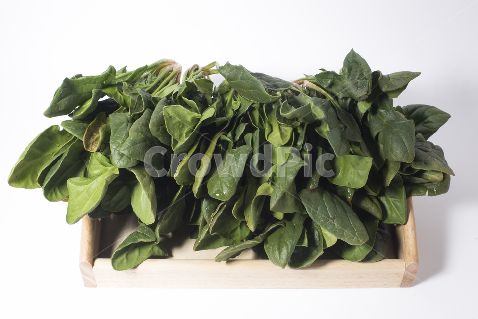 시금치,야채,채소,유기농,식품,녹색,녹색채소,식재료,뿌리,채소,야채,vegetables