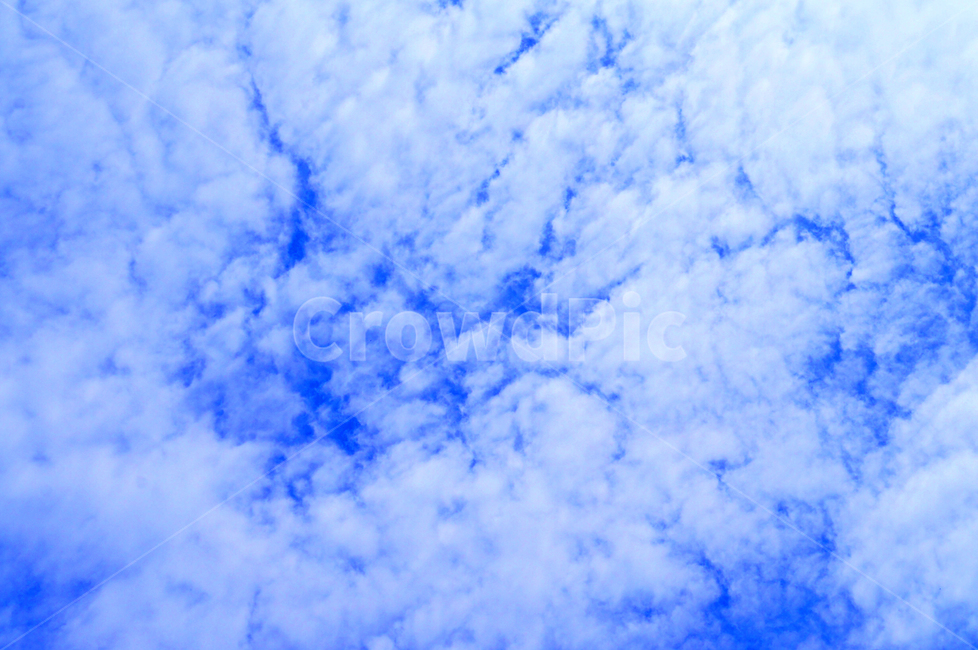 구름,하늘,뭉게구름,아침,cloud