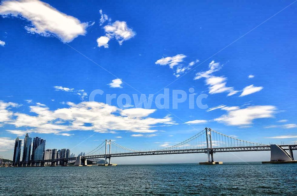 광안대교,광안리,부산,바다,도시,건물