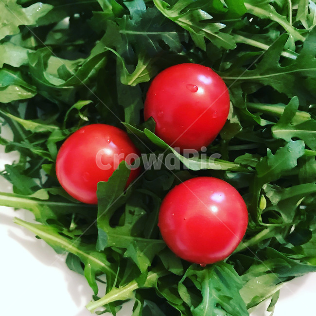 방울토마토,루꼴라,샐러드,야채,점심,과일,열매,fruit