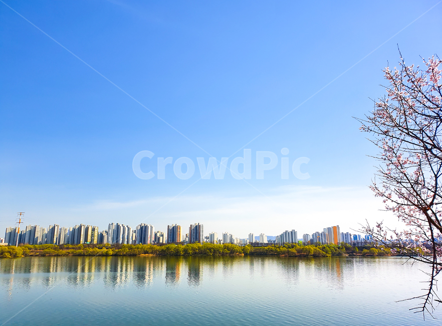 한강,봄,강,하늘,맑은날,시원,시원한,푸른,바다,벚꽃,맑은,nature,자연,식물,outdoors,옥외,water,물,강변,반사,물반사