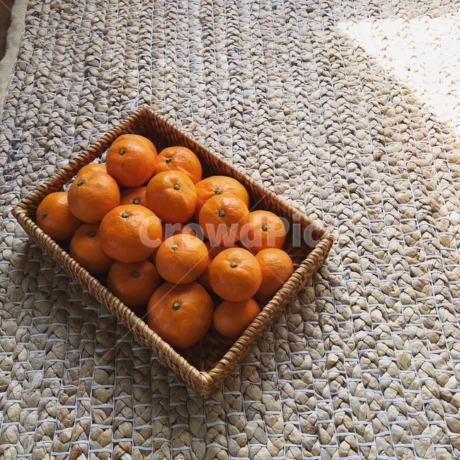 제주도,제주,산방산,귤,제주감성,봄,음식,식재료,요리,food,cook,meal,dishes,food reserves,과일,열매,fruit