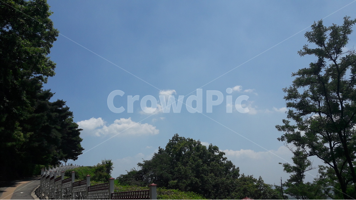 행주산성,나무,하늘,구름,파란하늘,자연,풍경,nature,landscape,outdoors,옥외