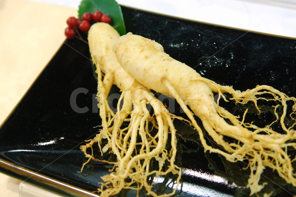 인삼,인삼튀김,삼,튀김,음식,한약,약재,한약재,식물,오브젝트,한국전통,한국문화,korean traditional,korean culture,식물,자연,plants,nature,음식,식재료,요리,food,cook,meal,dishes,food reserves,의료,의학,병원,medical,hospital,clinic