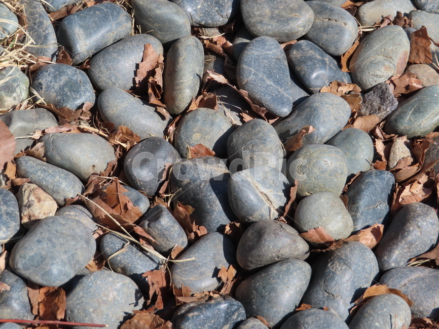 패턴,돌멩이,돌,암석,자유분방,회색,흰색,여러개,돌바닥,모여있는,지압,pattern,stone,rock,freestanding,gray,white,several,stonefloor