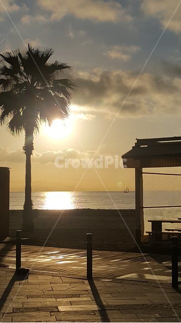 해변,야자나무,태양,레스토랑,실루엣,휴양지,beach,palmtrees,sun,restaurant,silhouette,vacation