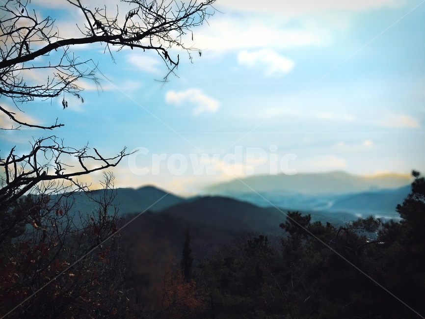 자연,나무,산,풍경,tree