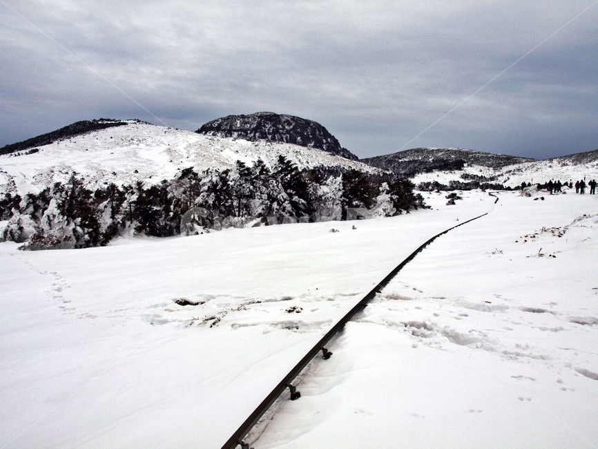 어리목,한라산,제주도,겨울,설산,설경,눈,백록담,겨울,계절,winter,season,자연,풍경,nature,landscape,outdoors,옥외,mountain,산