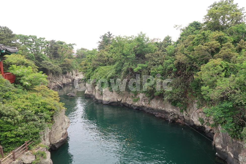 outdoors,옥외,water,물,강,초록,나무,자연,하늘,제주도,제주,봄,river,green,trees,plants,nature,sky,jeju,jejuisland,spring