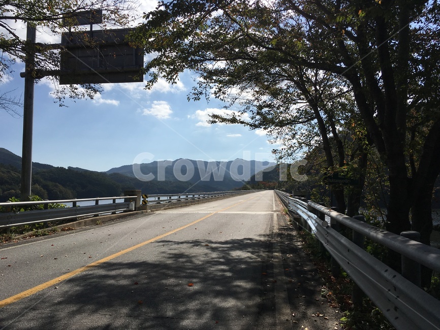 길,주암호,호수,가을,낙엽,나무,풍경,보성군,산,교각,다리,자연,풍경,nature,landscape,road,도로,asphalt,아스팔트,highway,고속도로,freeway,고속 도로
