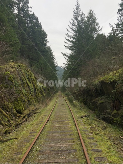 rail,레일,transportation,교통,traintrack,기찻길,railway,철도,road,도로,gravel,자갈,tree,나무