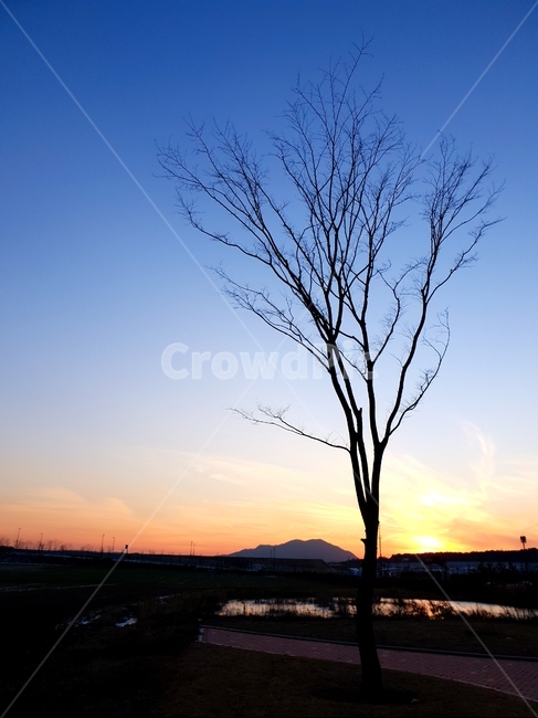 일몰,하늘,석양,나무,풍경,겨울,nature,자연,outdoors,옥외,dusk,황혼,sunset,dawn,새벽,sky,red sky,붉은 하늘
