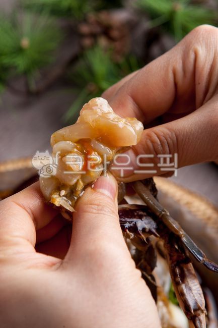 게장,한식,음식,간장게장,양념게장,손가락,사람,음식,식재료,요리,food,cook,meal,dishes,food reserves