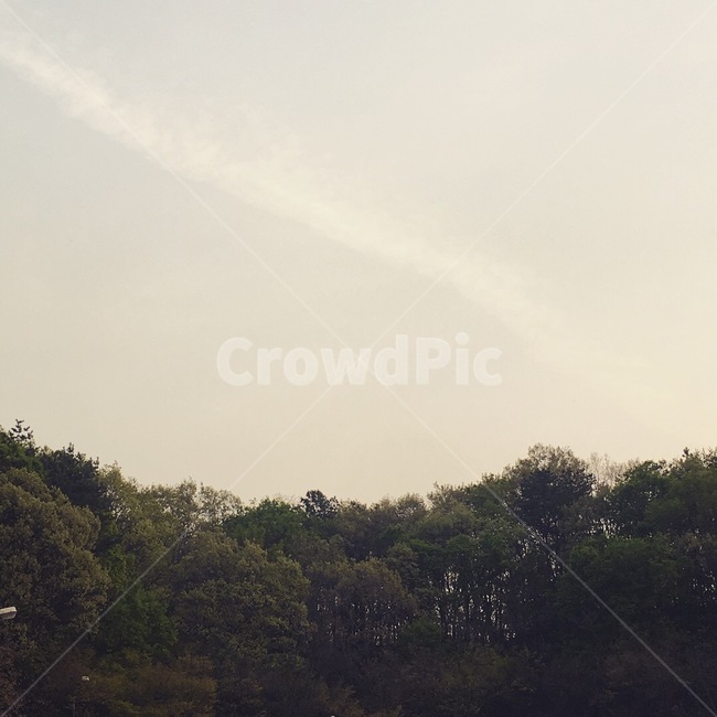 자연,nature,숲,하늘,비행운,노을