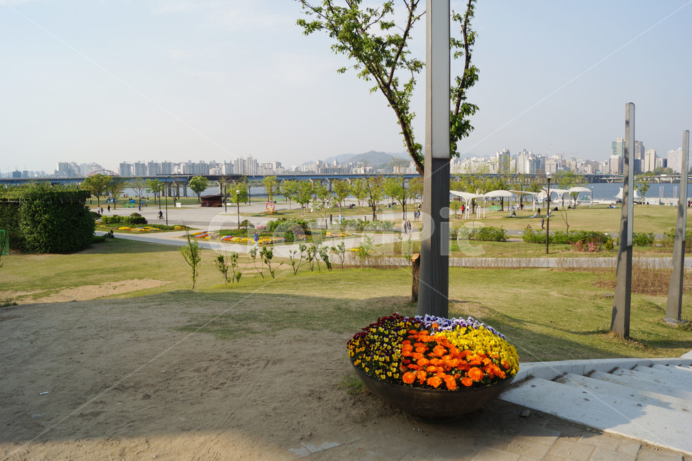 한강,풍경,배경,피크닉,공원