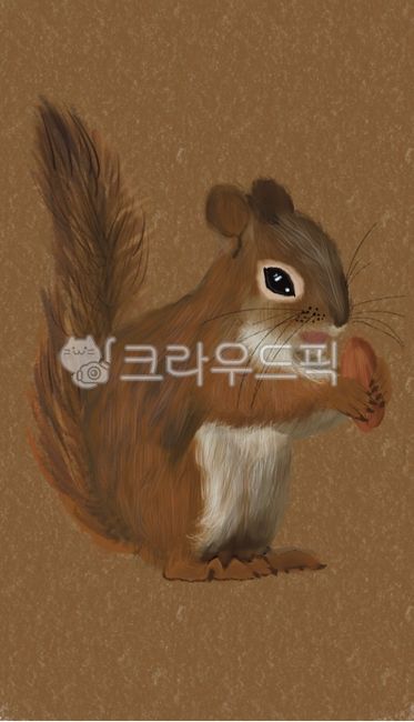 Cute animal illustrations,animal pictures,squirrel picture,cute animals,cute animal drawings