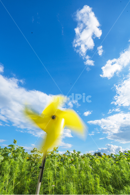풍경,하늘,바람개비,구름,해바라기,여름,계절,summer,season,자연,풍경,nature,landscape,색깔,색상,색채,색감,color sense,color sensitivity,feeling of color,outdoors,옥외