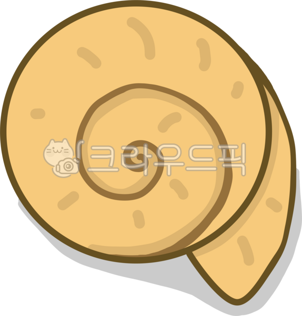 조개껍데기,자연,해양,암모나이트,조개,소라,암모나이트화석,화석,고대생물,해변,소라껍데기,바다,바닷가,여름,모래사장,골뱅이,해양생물,바다생물,조개껍질