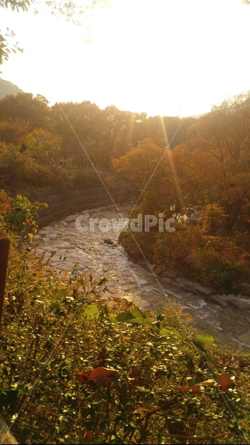 light,빛,호수,자연,가을,자연,풍경,nature,landscape,flare,플레어,outdoors,옥외,water,물,stream,흐름,creek,작은 만
