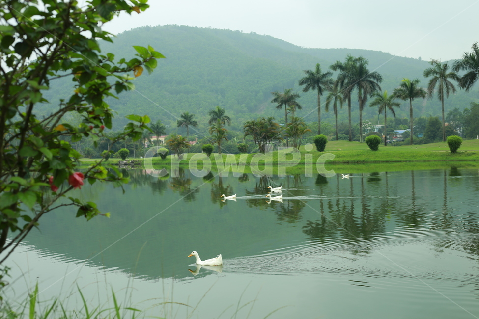자연,water,outdoors,land,호수,골프,golfcourse,골프코스