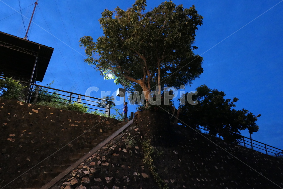필리핀,팔라완,시골,야경,시골풍경,자연,풍경,nature,landscape,야경,밤,nightscape,night,railway,철도,train track,기찻길,rail,레일,transportation,교통