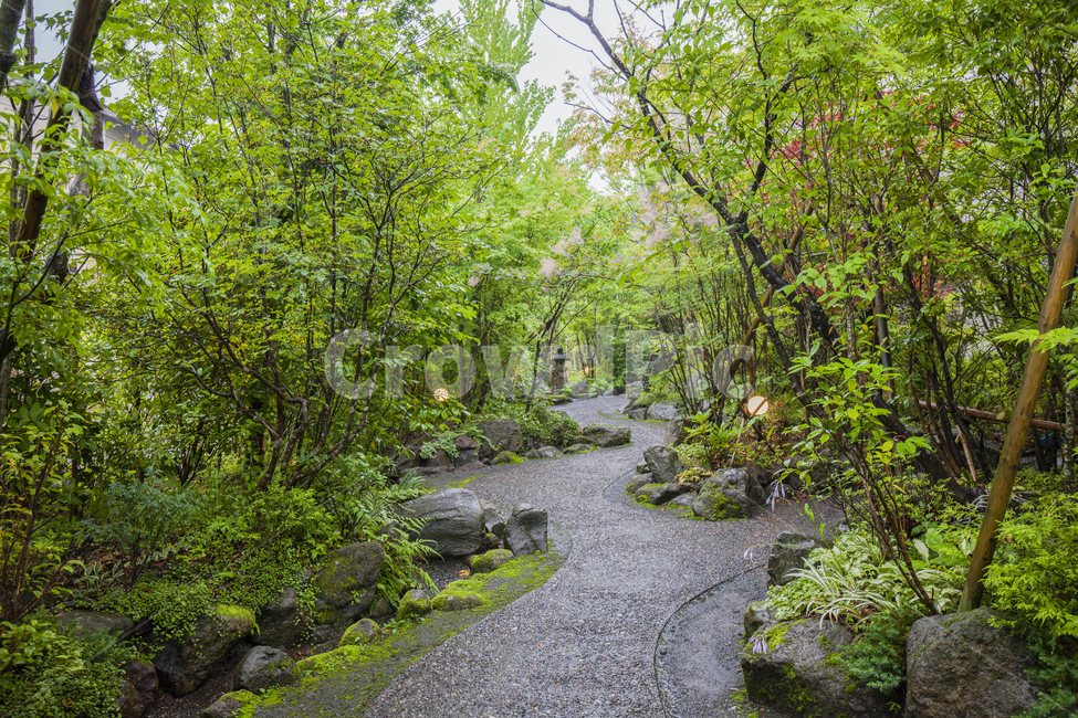 정원,여름,landscape,plants,식물,nature,녹색