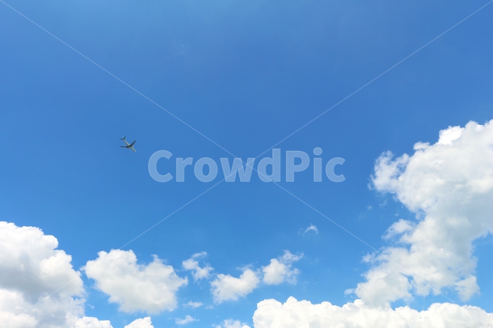 하늘,풍경,구름,비행기,자연,자연,풍경,nature,landscape,교통,교통수단,traffic,transportation,animal,동물,flying,나는,bird,새,leisure activities,레저 활동,adventure,모험