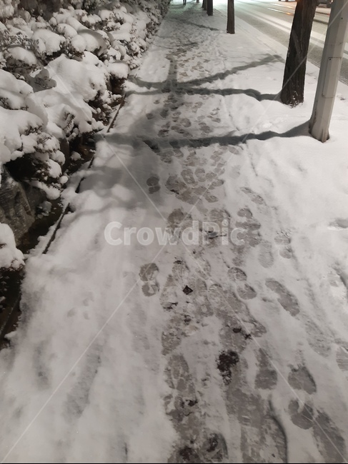 인도,눈길,발자국,눈발자국,겨울인도길