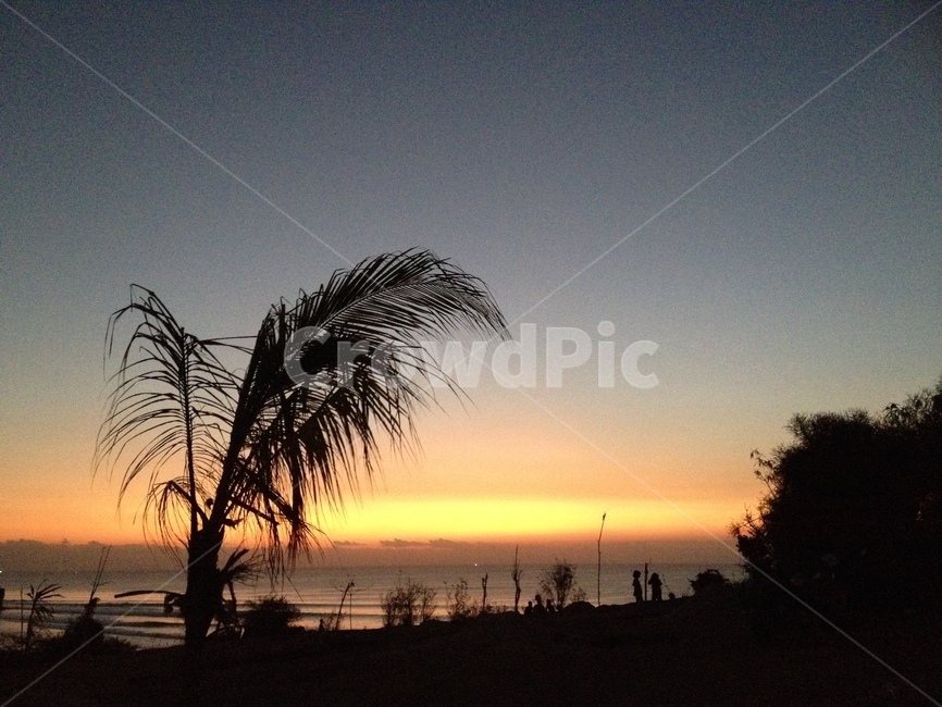 Bali,dusk,beachsunset,twilight,palmtree,palm tree,bali,seasunset,balangan,red sky,nature,Dusk,Balangan Beach,indonesia,redsky,sunset,silhouette,Indonesia,sea sunset