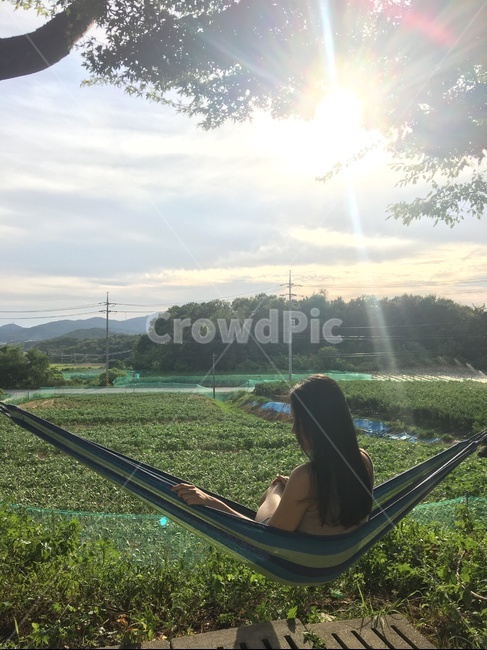 농촌,해먹,자연,풍경,나무,논,밭,여자,휴식
