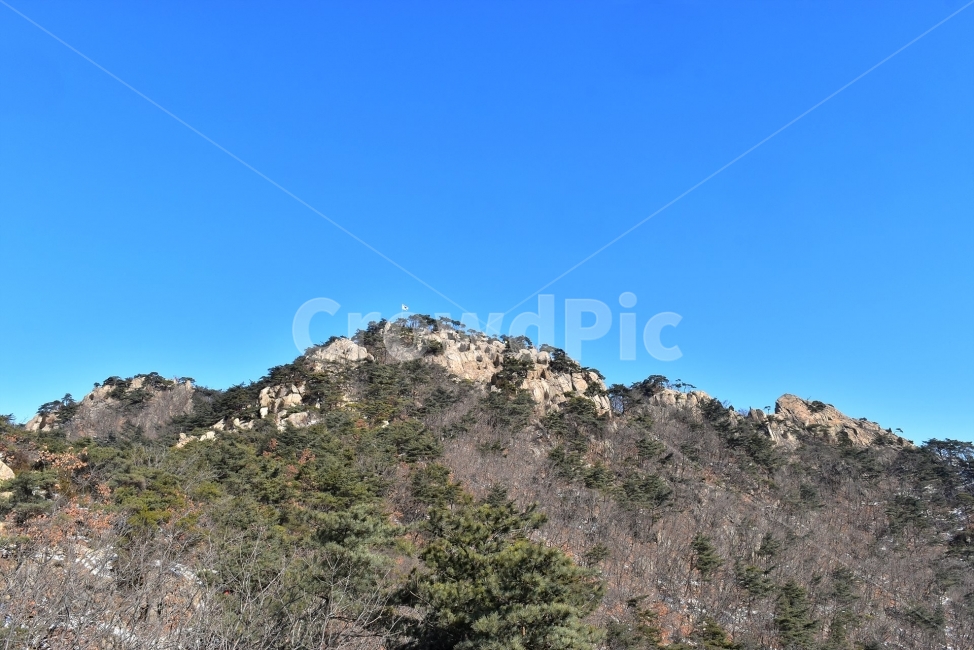 관악산,풍경,겨울,자연,눈,스포츠,등산,산행,nature,snow,겨울풍경,느낌,아름다운,신비로운,경이로운,기암,바위,암봉,암릉,다큐,필,힐링,명산,landscape,winter,season,트레킹,100대명산,인기명산,조망,전망,정부청사,6봉,수목원능선,바윗길,암릉길,명품송,소나무,한국자연풍경,한국자연경관,korea,관양능선,팔봉능선,국기봉,자연,풍경,nature,landscape,한국자연풍경,한국자연경관,korea nature landscape,outdoors,옥외,plant,식물,bush,부시,vegetation,초목