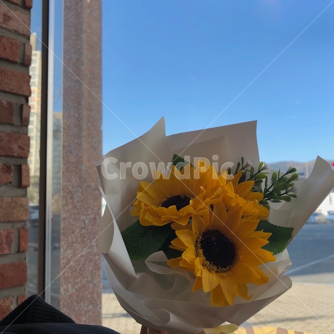 해바라기,꽃,꽃다발,하늘,노랑,꽃,flower,기념일,축하,anniversary,congratulation,celebrate,celebration