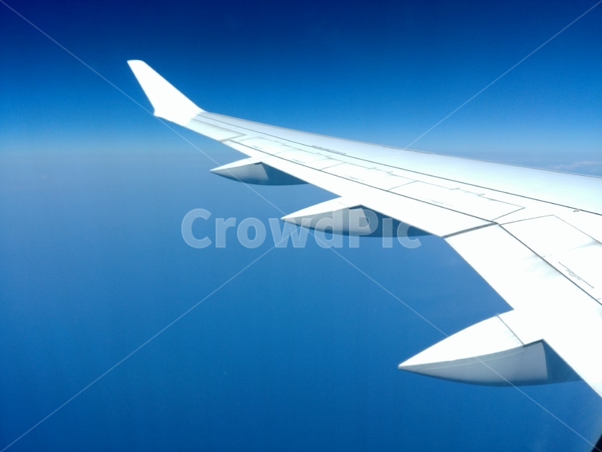 비행기,여행,날개,항공기,airplane,출장,businesstrip,비지니스,비행기날개