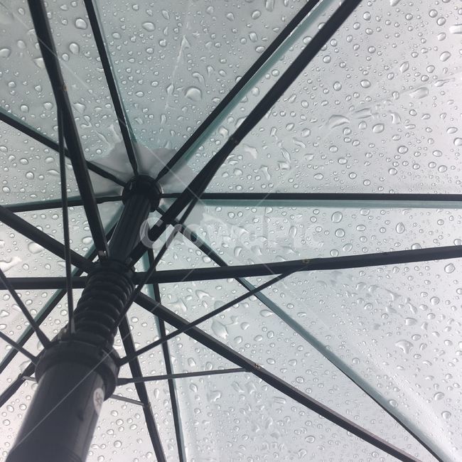 비,우산,물방울,비오는날,rain,파랑,비,비오는날,rain,rainy