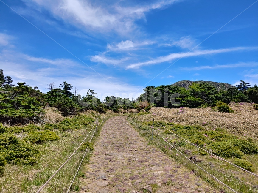 산,하늘,풍경,등산로,들판,mountain,sky,clouds,green,초록,등산,한라산,배경,trail,walkway