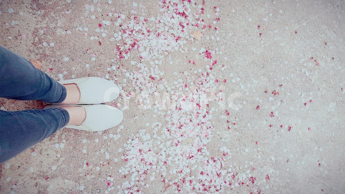 벚꽃,꽃잎,사람,발,봄,spring,season,식물,nature,배경,다리,꽃,flower,person